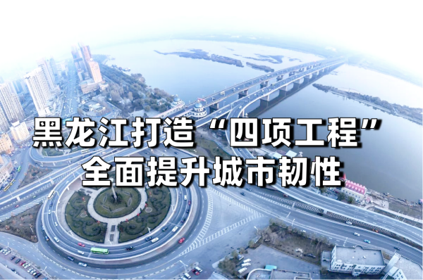黑龍江打造“四項工程”全面提升城市韌性(圖1) 圖片1.png
