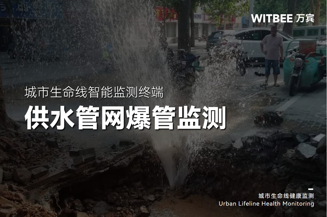 漏漏漏...怎樣為城市供水系統上一份“雙保險”？(圖1)